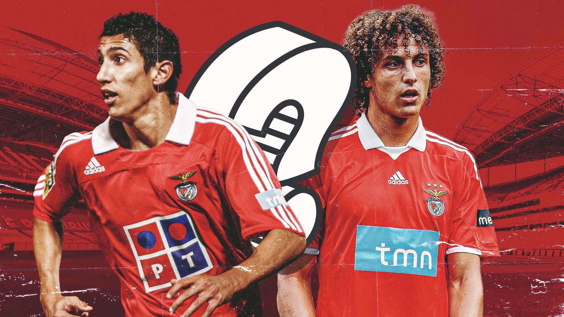 球迷的包容 球迷的包容