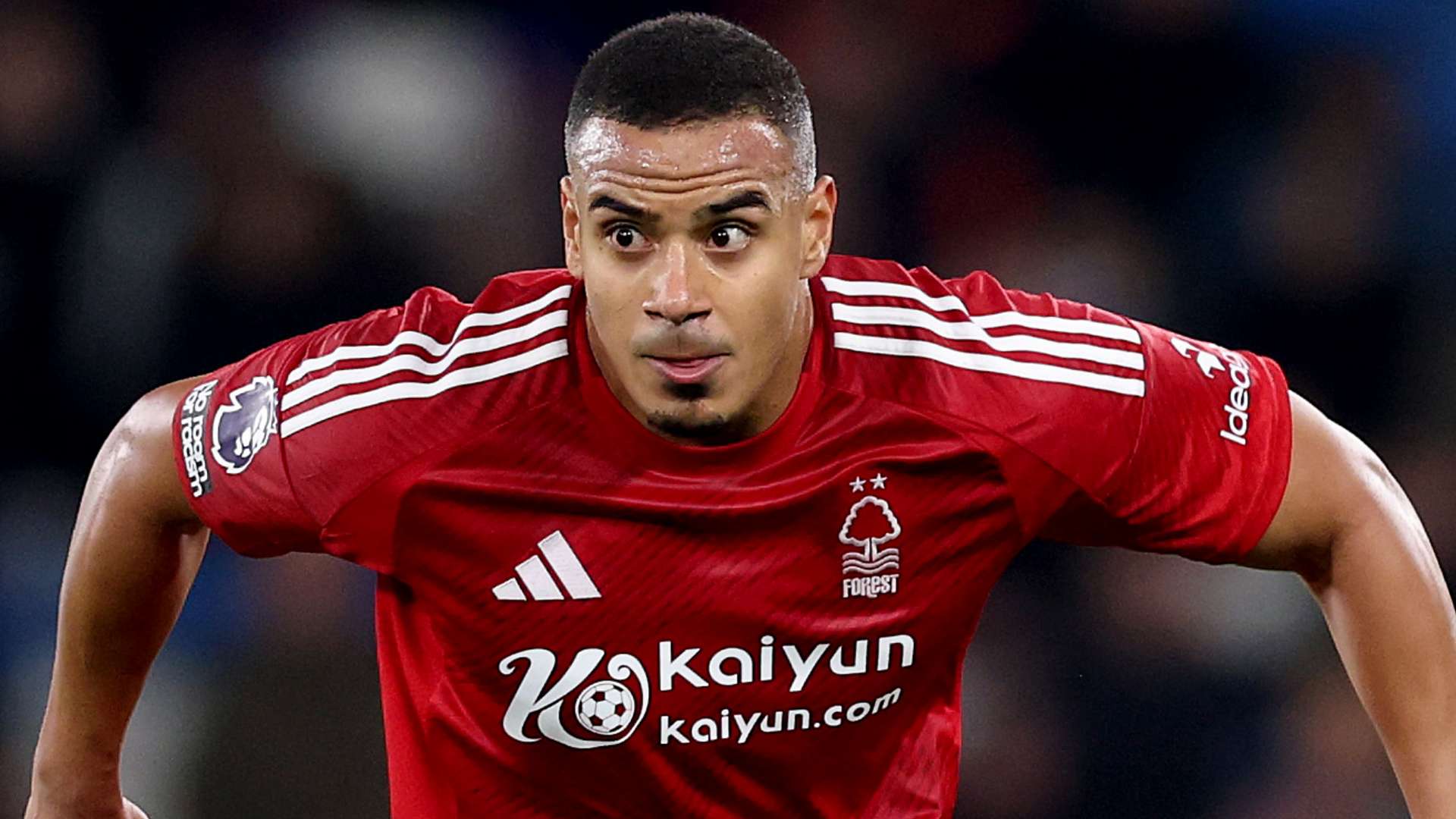 心理素质的 心理素质的